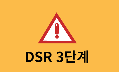 dsr 적용 제외 대출